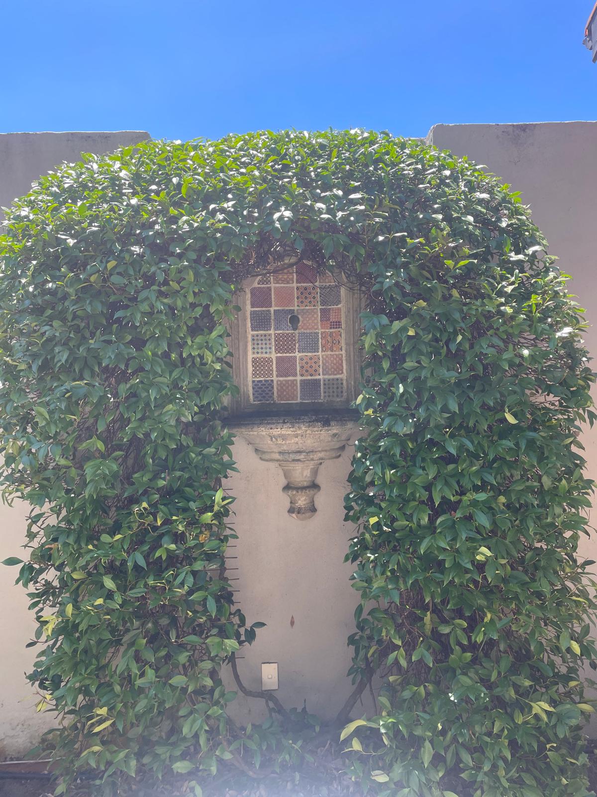 Jasmine Arch